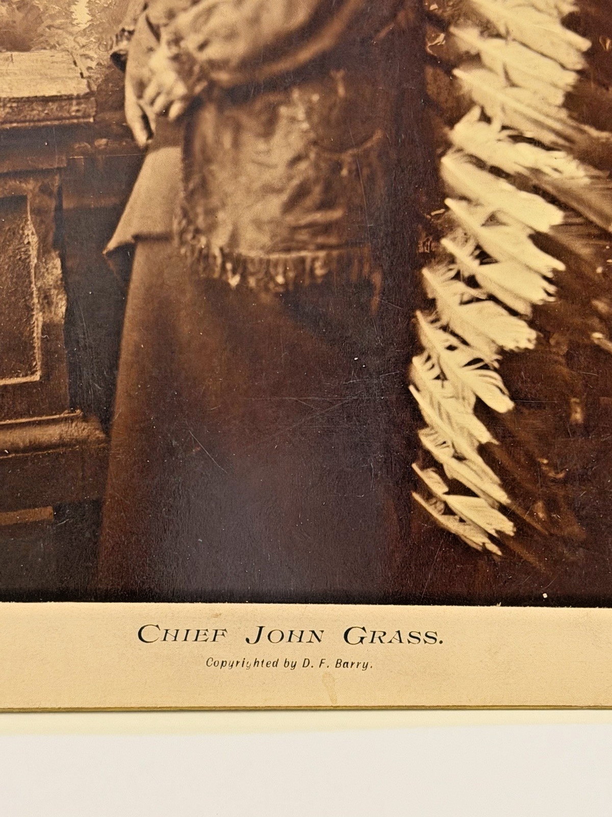 Antique Native American Indian Albumen Print "Chief John Grass" By: D. F. Barry