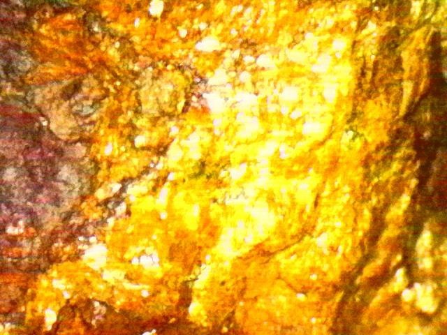 Gold Ore Specimen /Quality Visible Gold