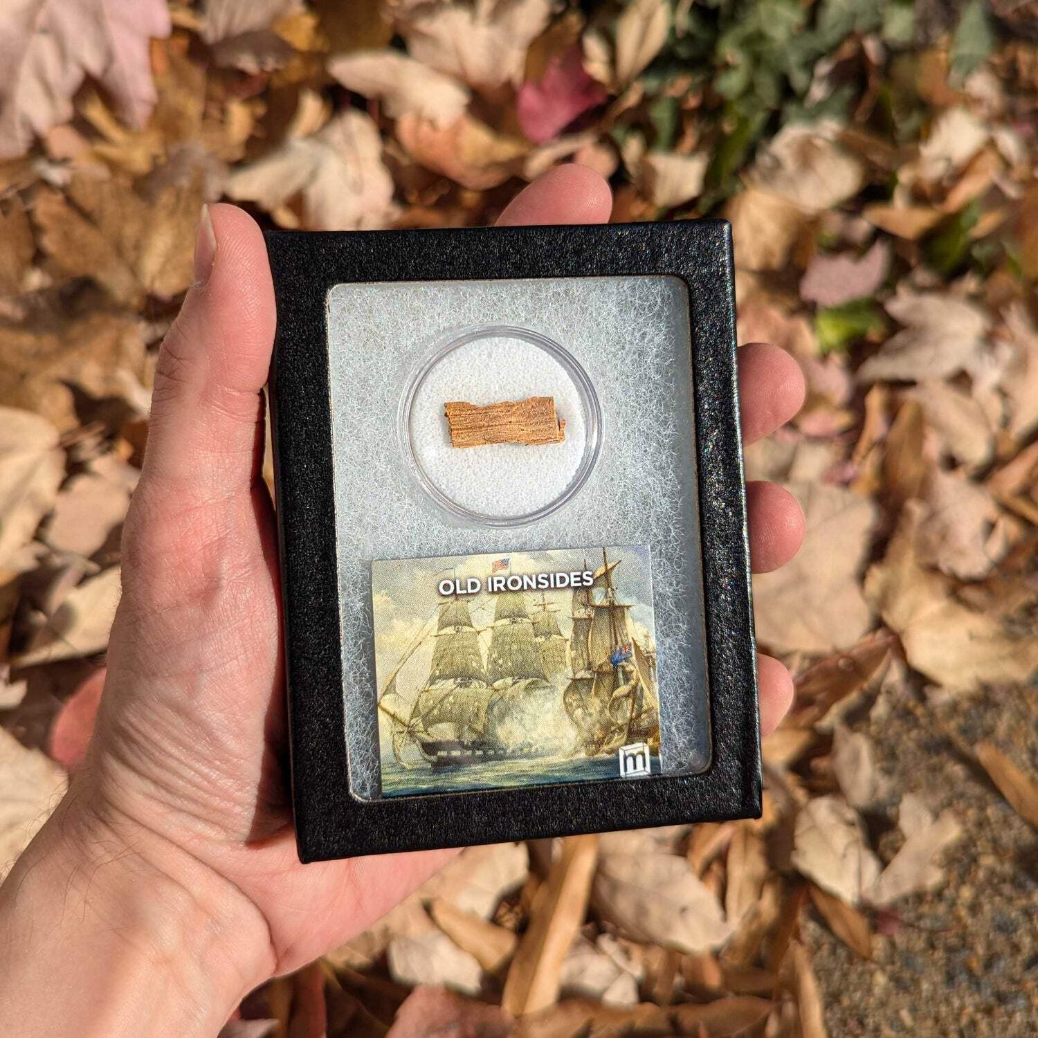 Old Ironsides USS Constitution Hull Fragment