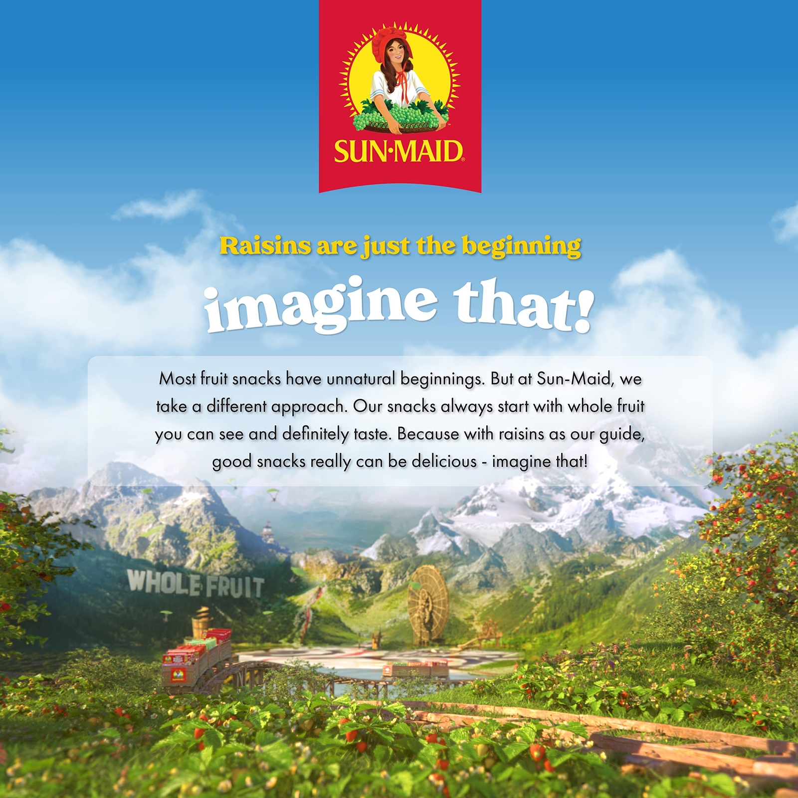 Sun-Maid | Organic Califorina Raisins | 32 Ounce Resealable Bag (Pack Of 2) - 64