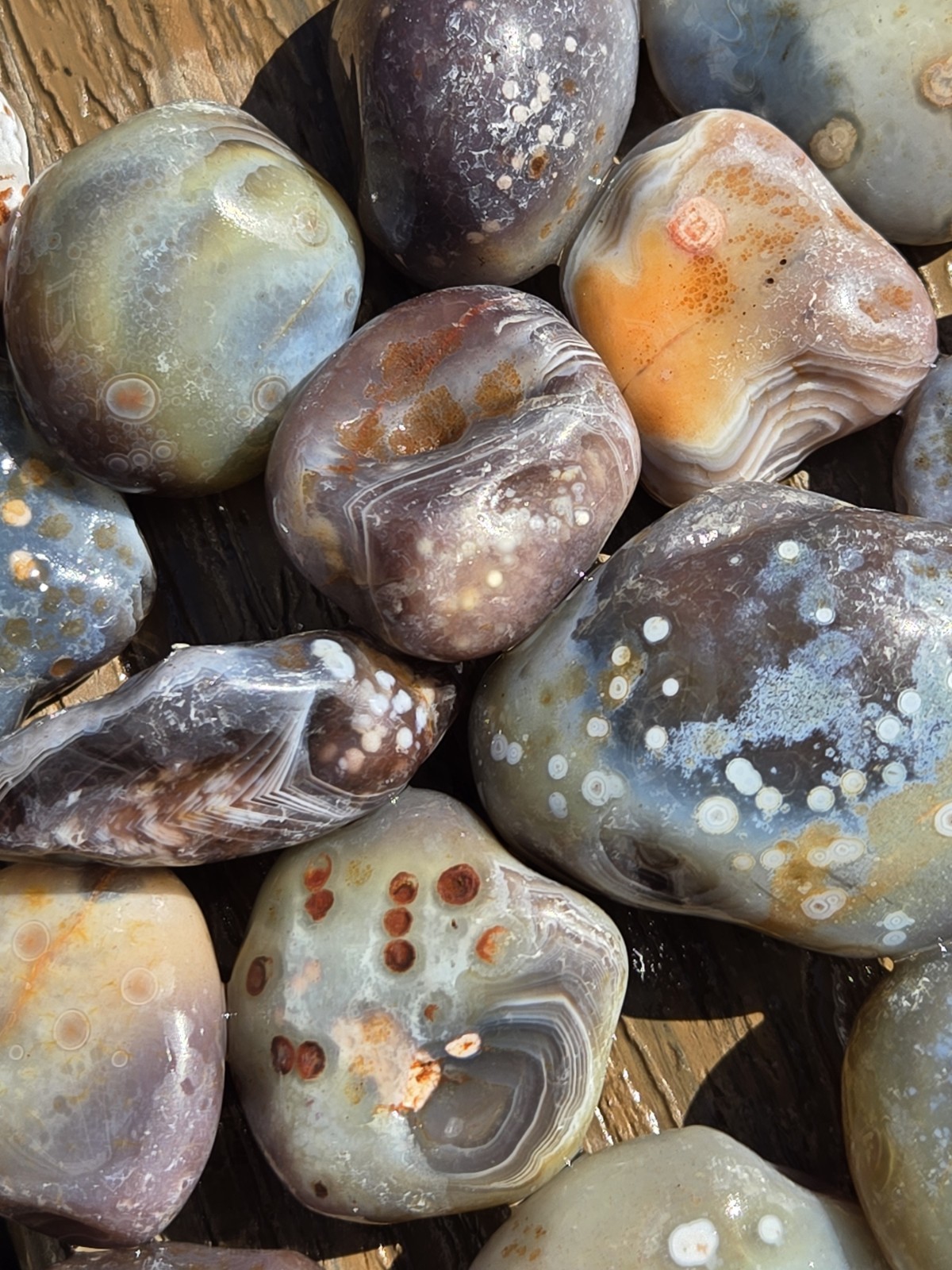 Botswana Agate Selects - DOTS AND SPOTS - Rough, Natural, Not Polished A+ Grade