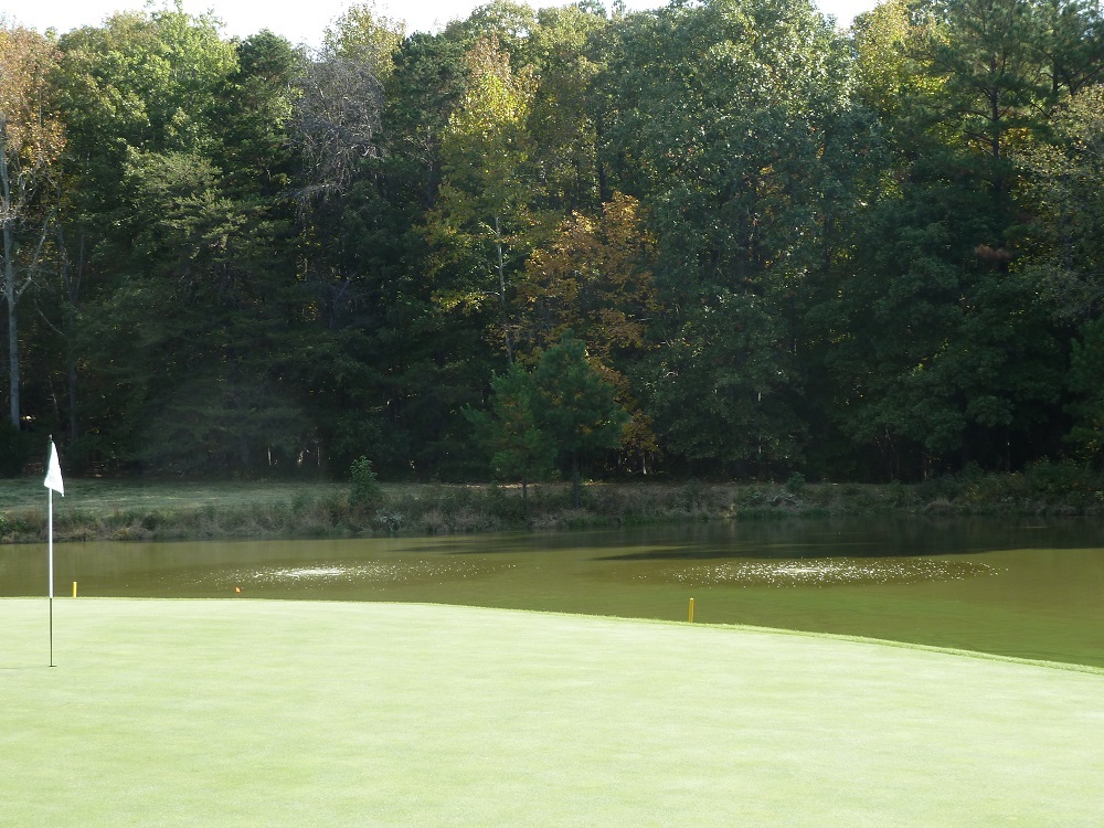 Industrial 220v 100' Lake Fishpond Aerator w/ 2-9" EDPM Diffusers 1/2hp 3 CFM!