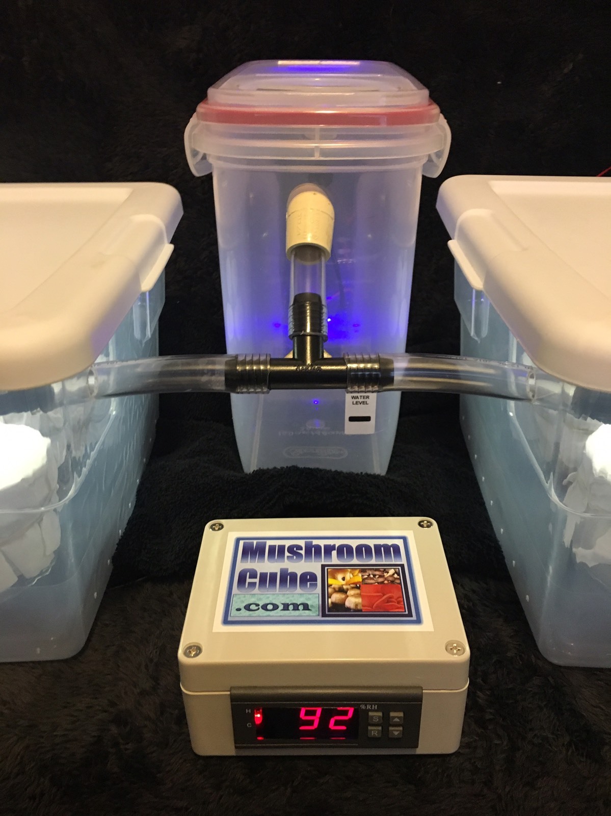 Automated Mushroom Growing Kit with 12 PF Tek Jars Sterile Substrate