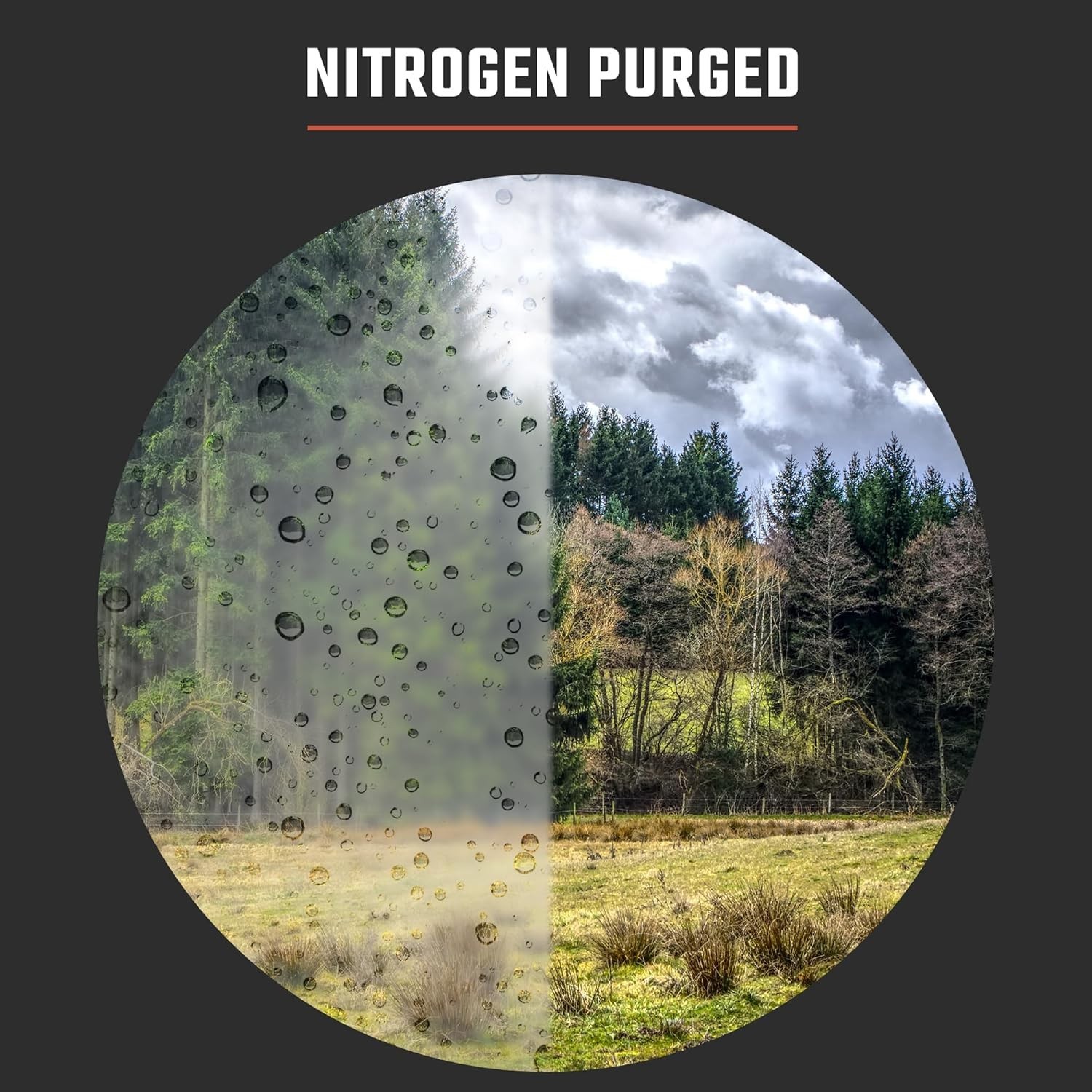 NEW Athlon Forerunner 10x42mm Hunting Binoculars With Case NIB