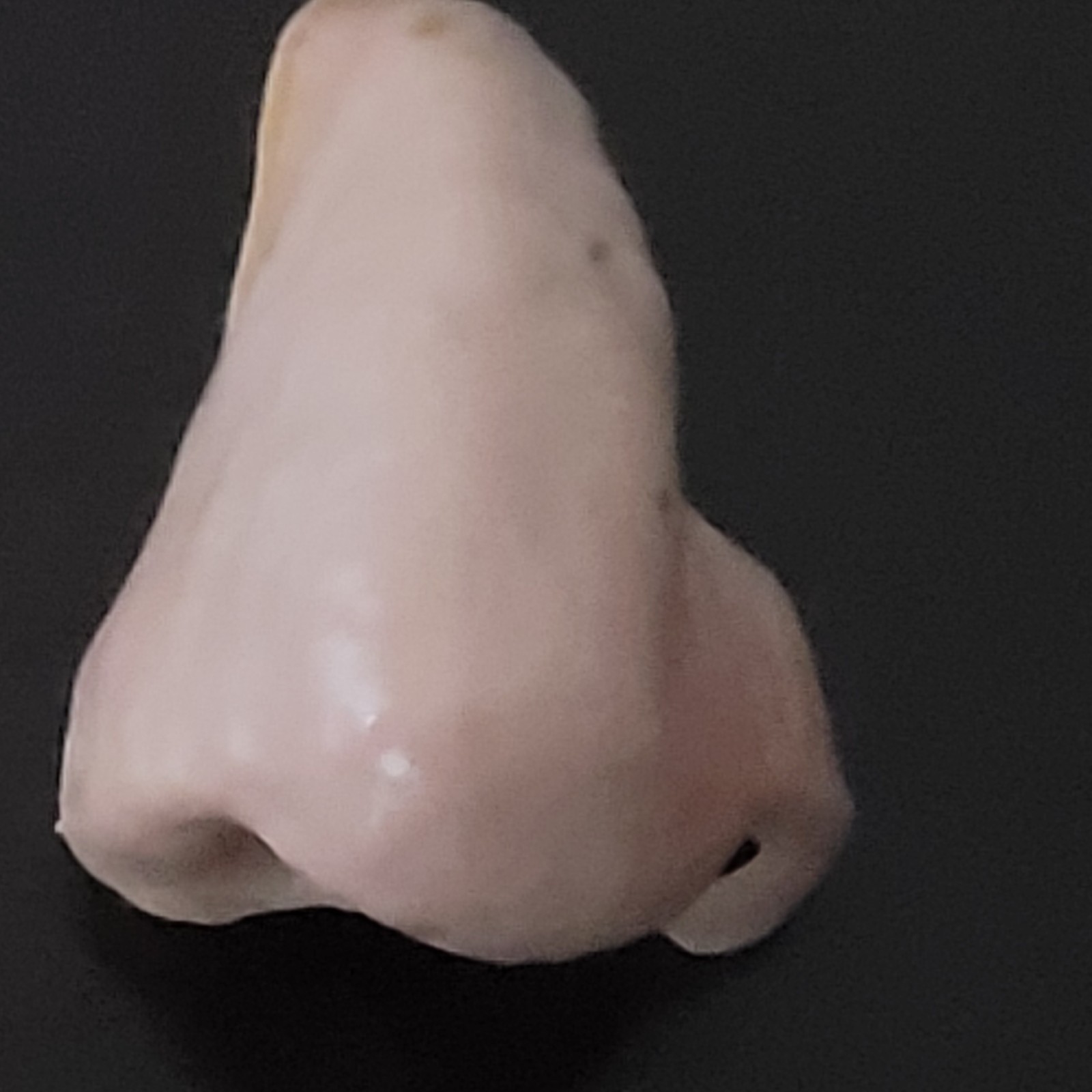 Vtg Artificial NOSE Hard Plastic Prosthesis Costume Cosplay Theater Halloween