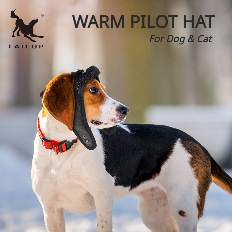 Pet Dog Pilot Hat Puppy Cute Aviator Cap Windproof Spring Autumn Style Costume