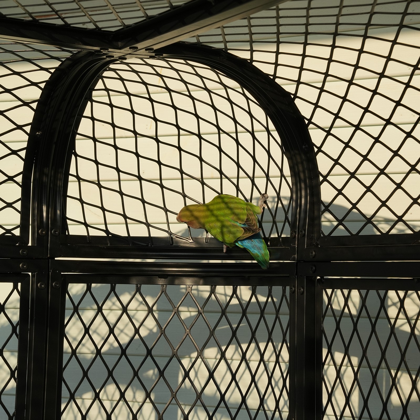 Extra Large Flight Metal Bird Cage Aviary Parrot Macaw Finch Tight Bar Spacing