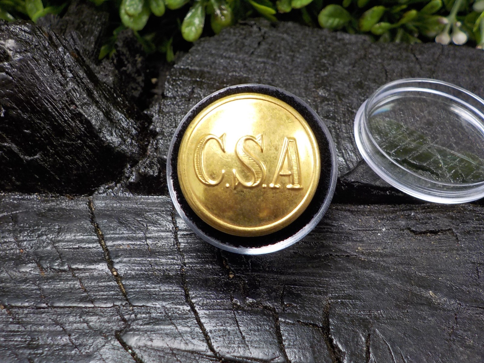 Confederate States of America Coat Button Loaded with Gold Free Button Case