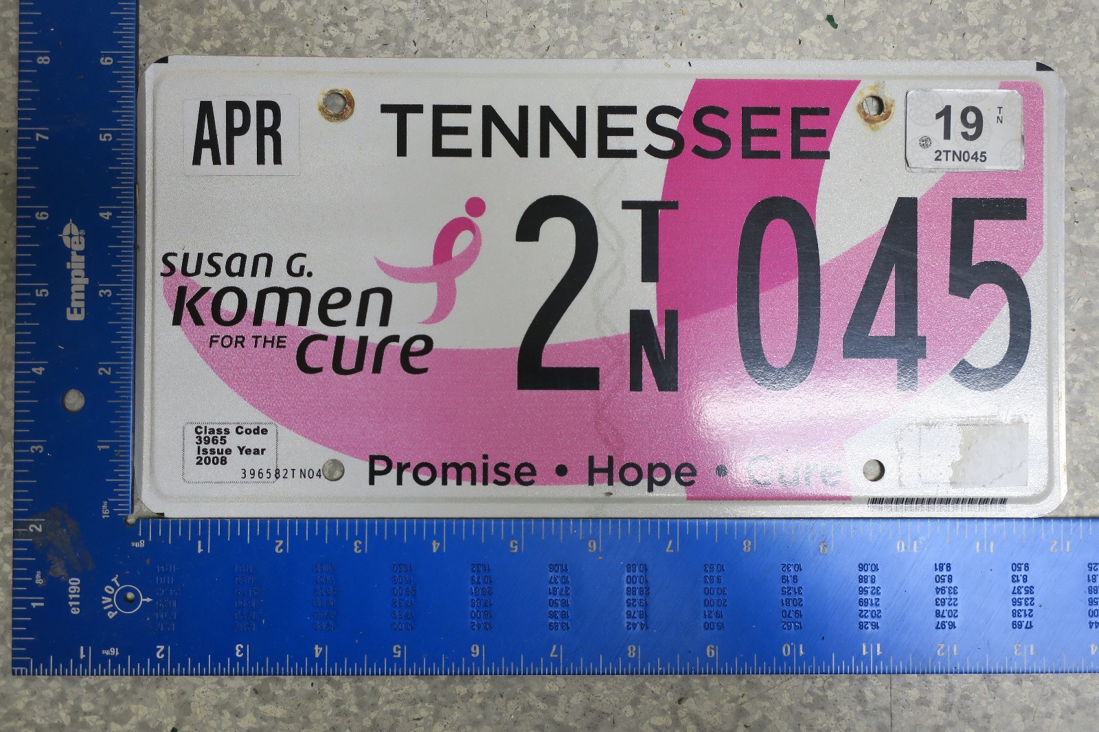 Tennessee License Plate Tag 2019 19 Susan G. Kome Cure Breast Cancer 2TN 045
