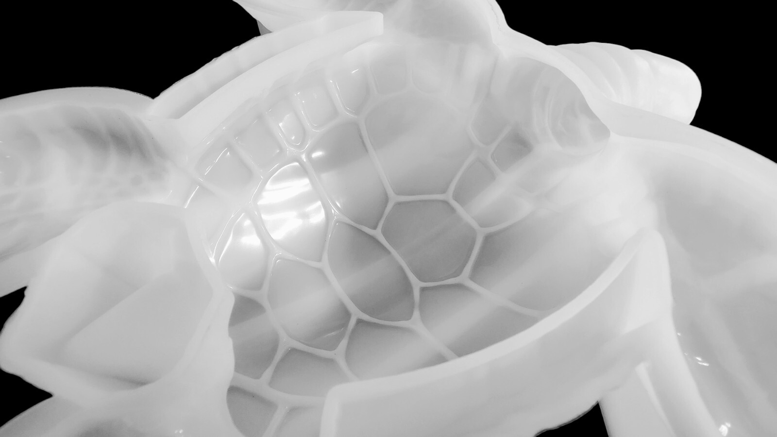 GIANT Sea Turtle Silicone Mold AU