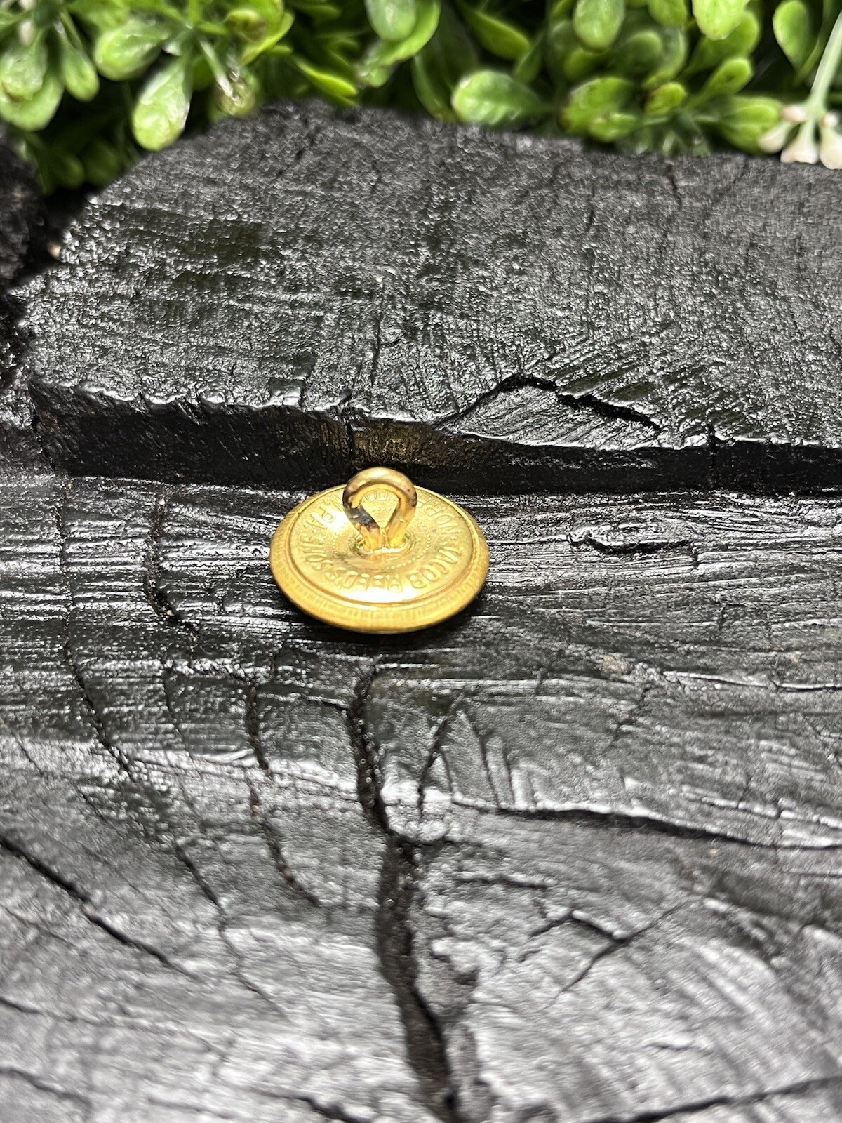 Old Rare Vintage Antique War Relic South Carolina Button Free Display Case