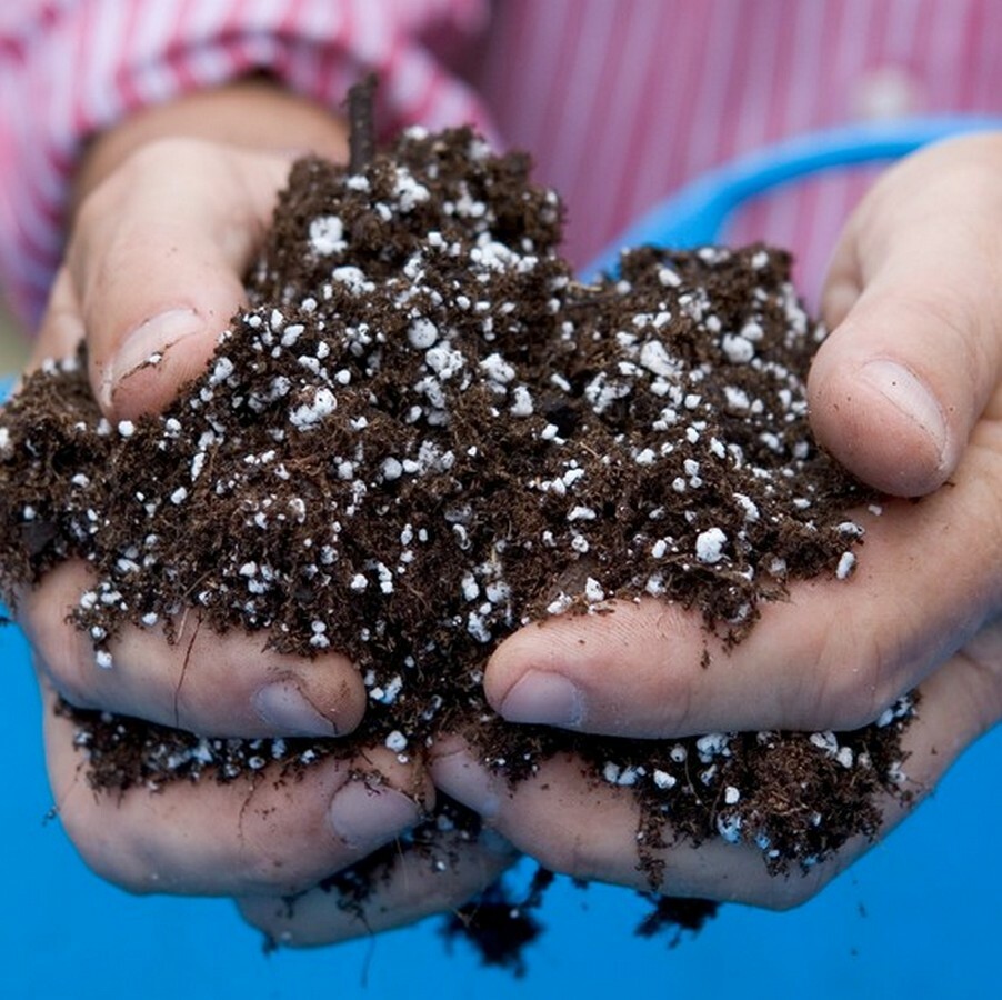 QUALITY MEDIUM COARSE PERLITE FOR SEED STARTING NURSERY POTTING GARDEN PLANTS