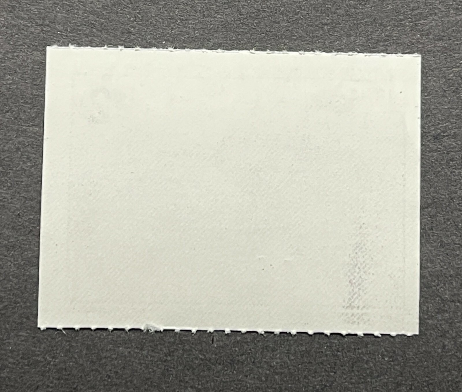 WTDstamps - 1994 SOUTH DAKOTA - State Duck Stamp - Lot1 - Mint OG NH