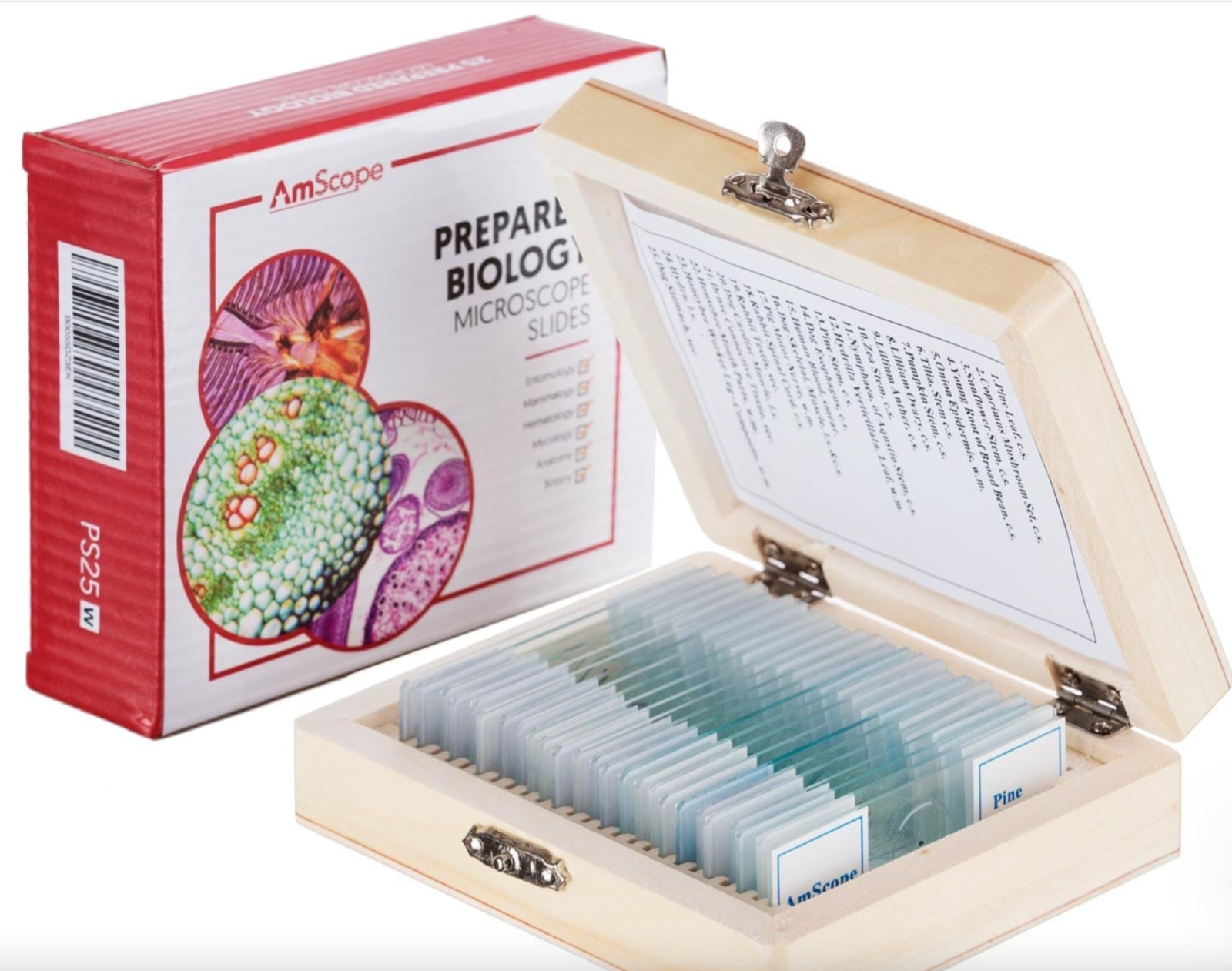 AmScope 25pc Glass Prepared Microscope Slides in Wood Case
