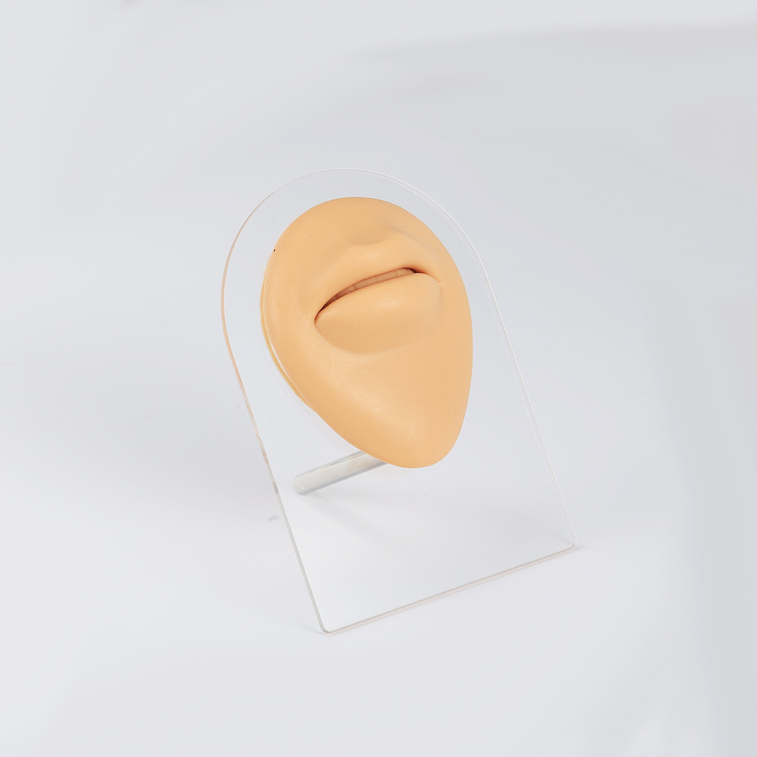 Silicone Ear Model with Acrylic Display Stand Body Parts Practice Piercing Tools