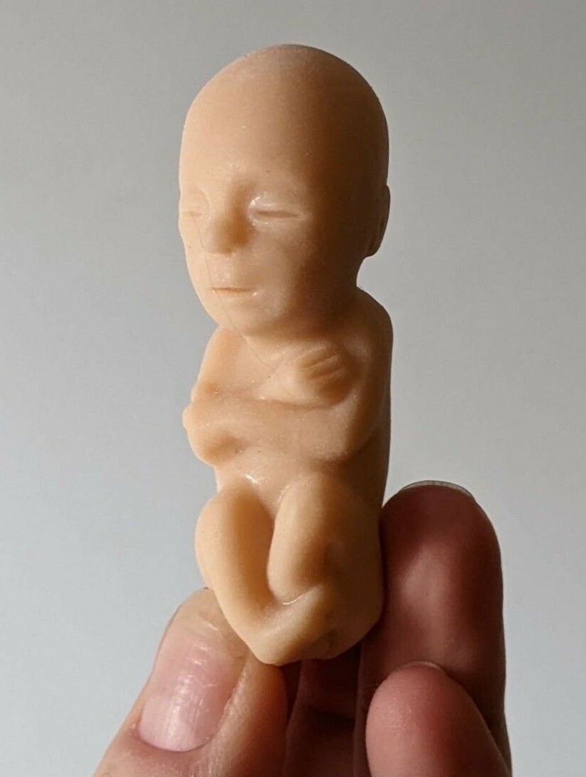 1 soft rubber model fetus, unusual medical fetal doll, abortion