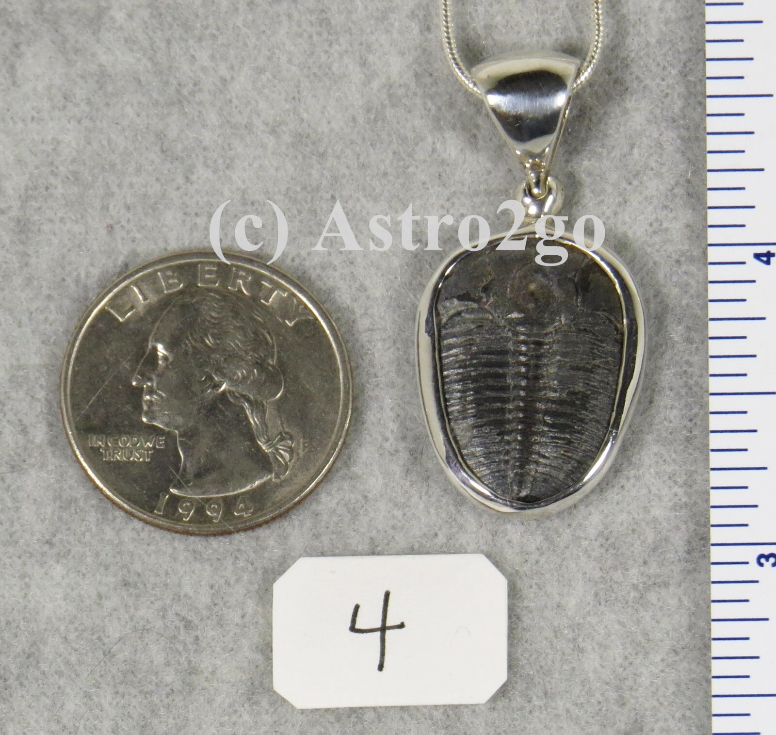 Elrathia Kingii TRILOBITE PENDANT $59 Sterling Silver Jewelry STARBORN CREATIONS