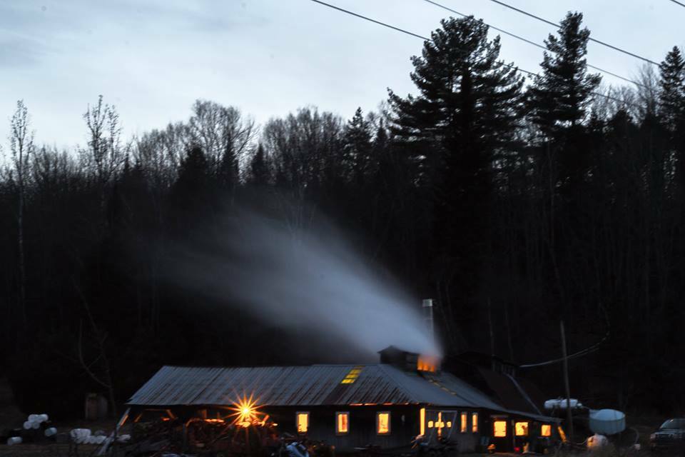 Maple sugar candy in decorative tin 1 lbs. 1/2 lbs.