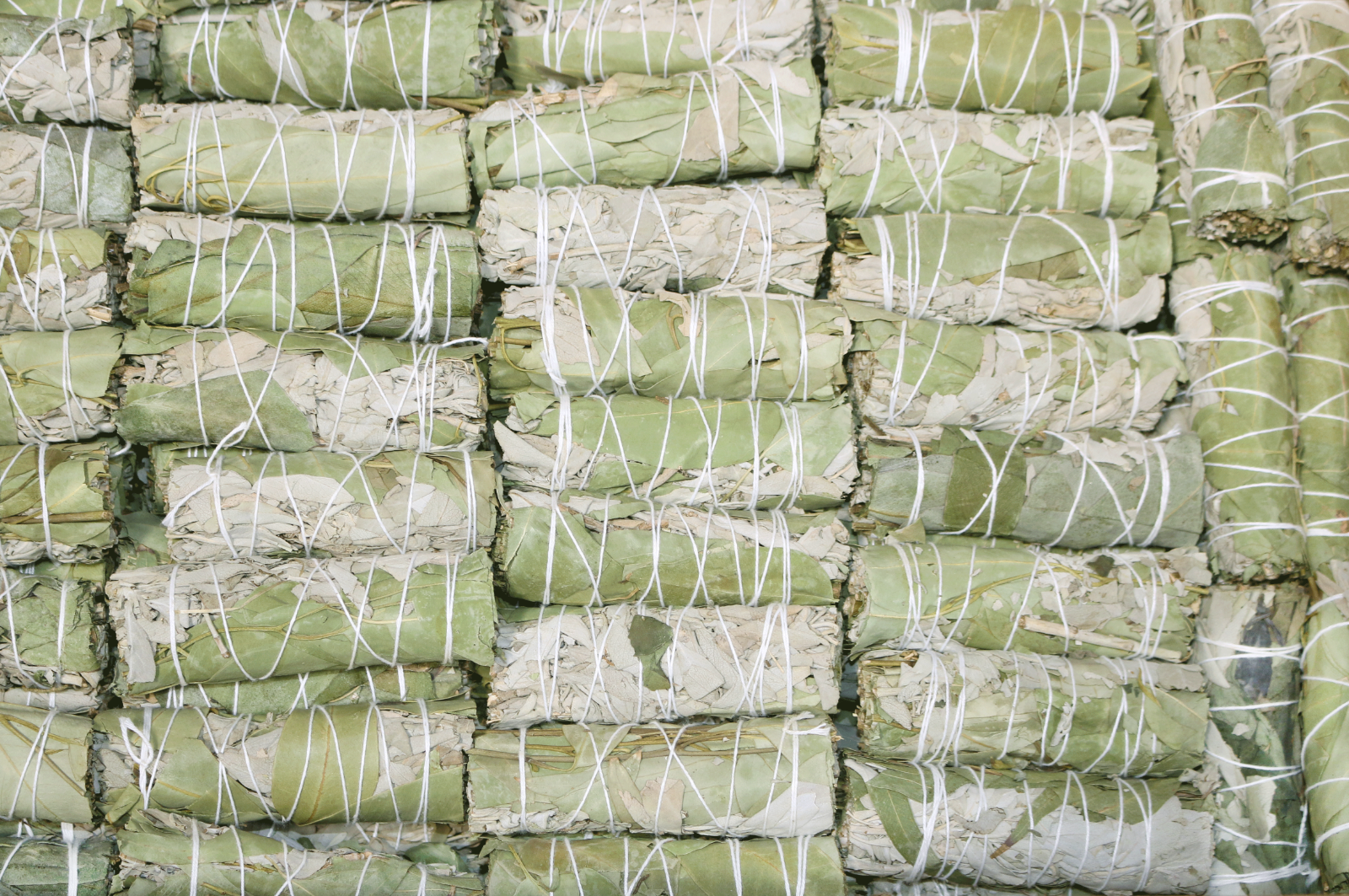 White Sage & Eucalyptus Smudge Sticks Freshly Harvested and Dried for Cleansing