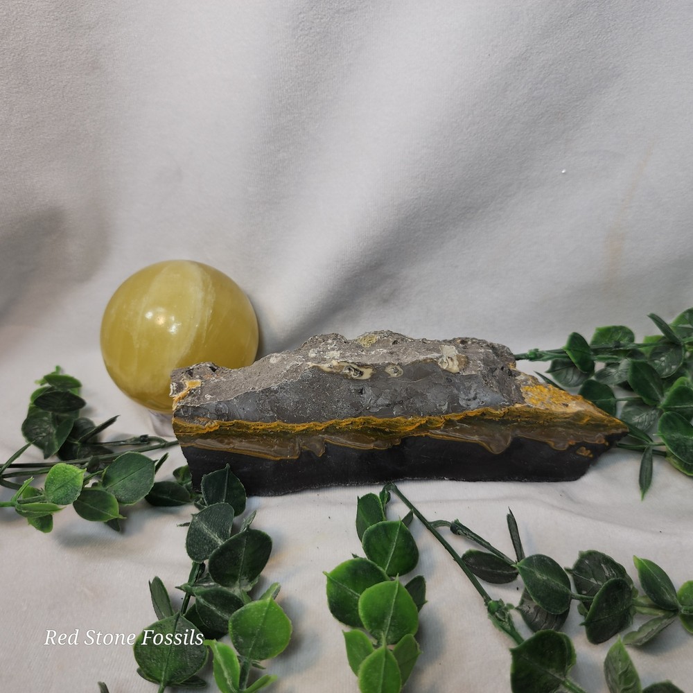 Bumblebee Jasper Slab