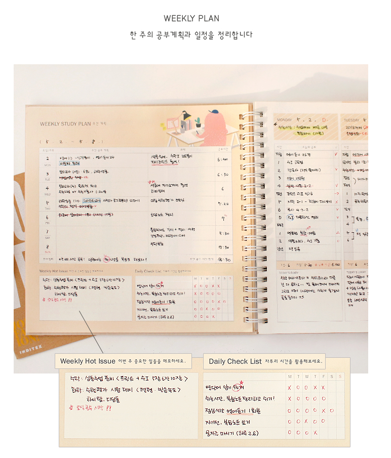 For 6 Months Monster's Study Planner Monthly Weekly Daily Academic Planner