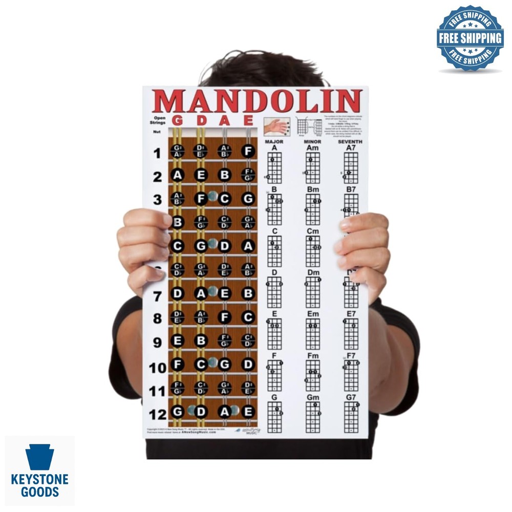 Mandolin Fretboard & Chord Chart - Laminated 11"x17" Reference Poster