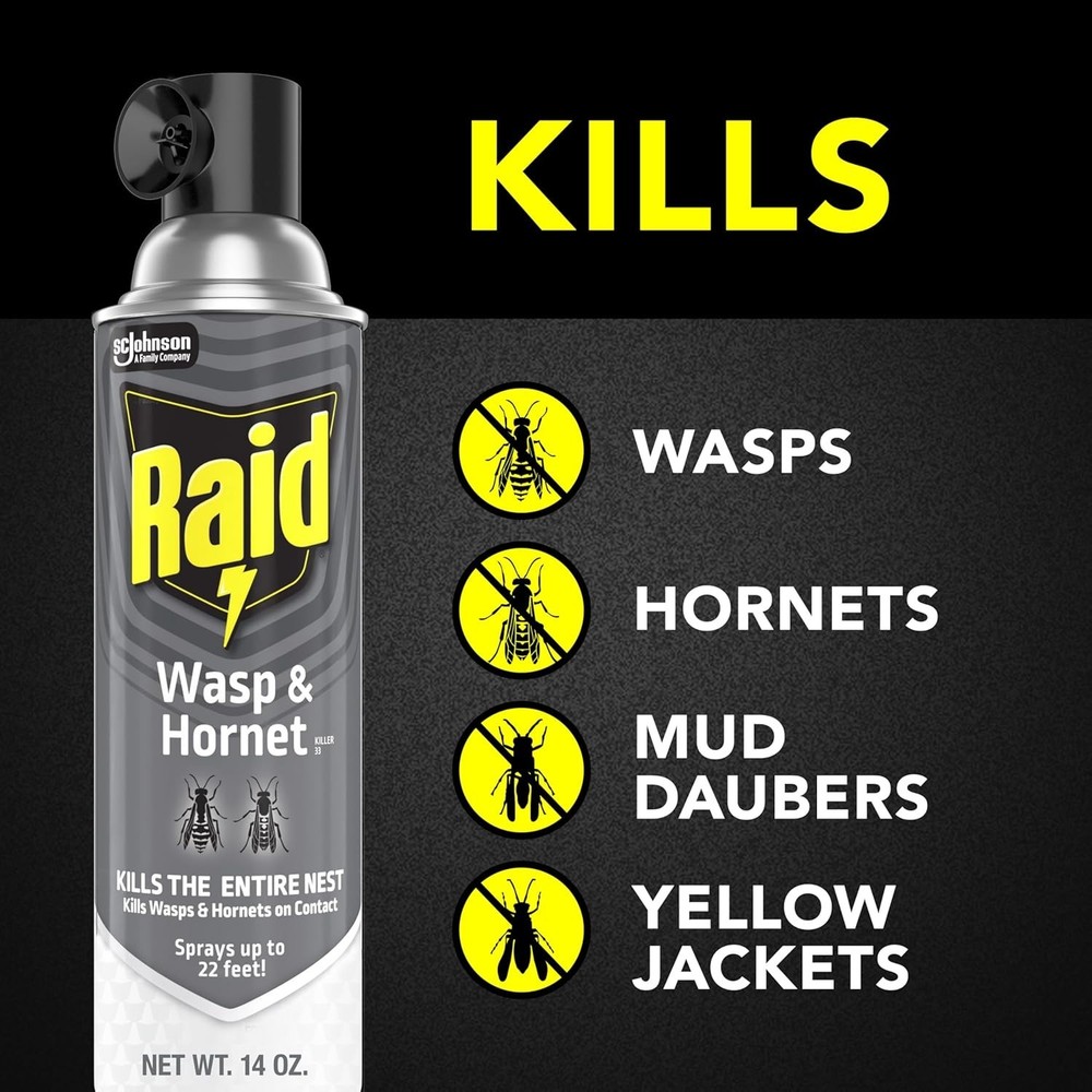 Raid Wasp & Hornet Killer Spray, Bug Killer Kills best and fast 2025