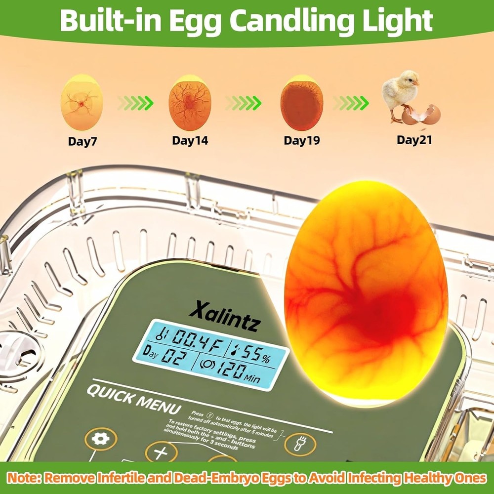 Automatic 12 Egg Incubator - Digital Temperature/Humidity Display, Hatch Day ...