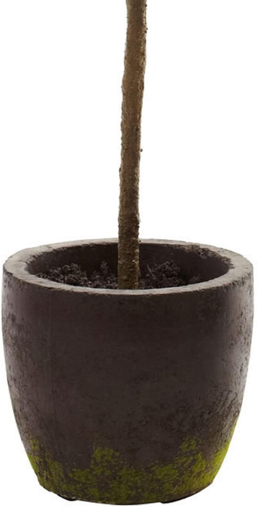 29In. Topiary with Decorative Planter