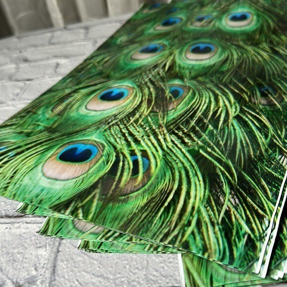 Poly Mailers Peacock Feathers 10” x 13” 50 pack