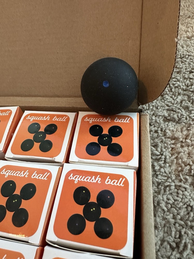 12pk Professional Squash Balls - Single Blue Dot