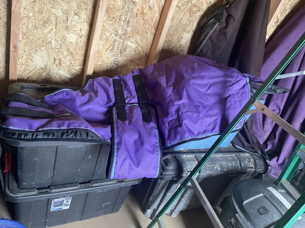54 Kensington Pony/mini Turnout Blanket