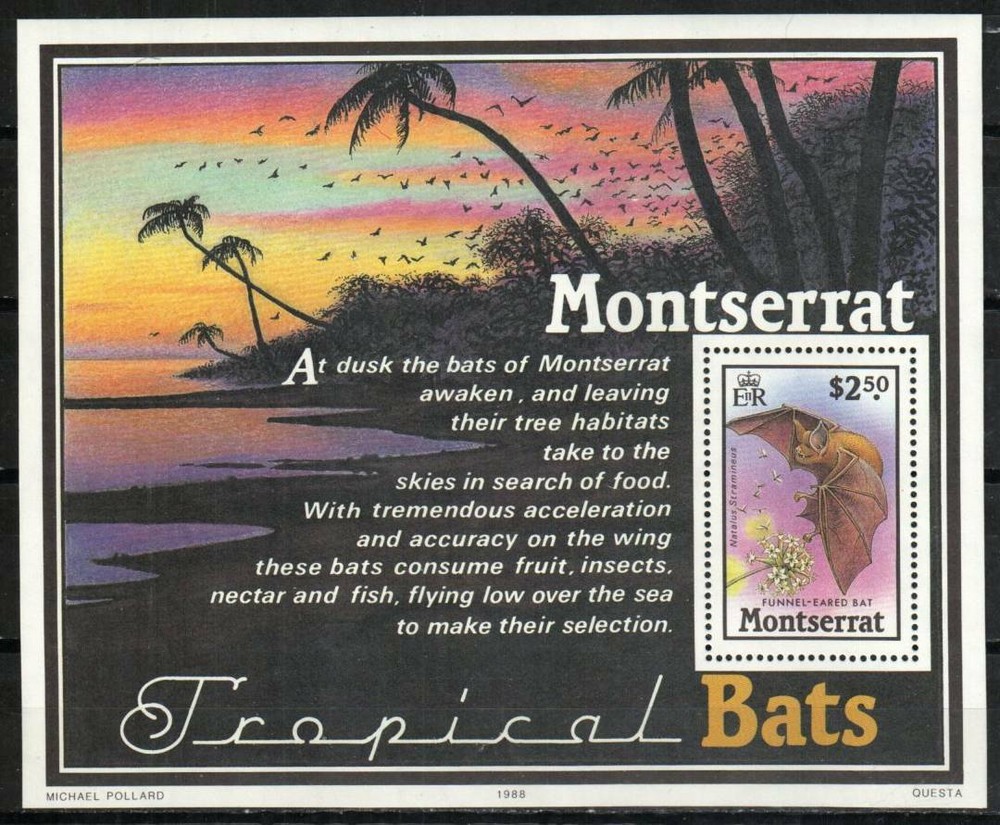 Montserrat Stamp 671 - Tropical Bats