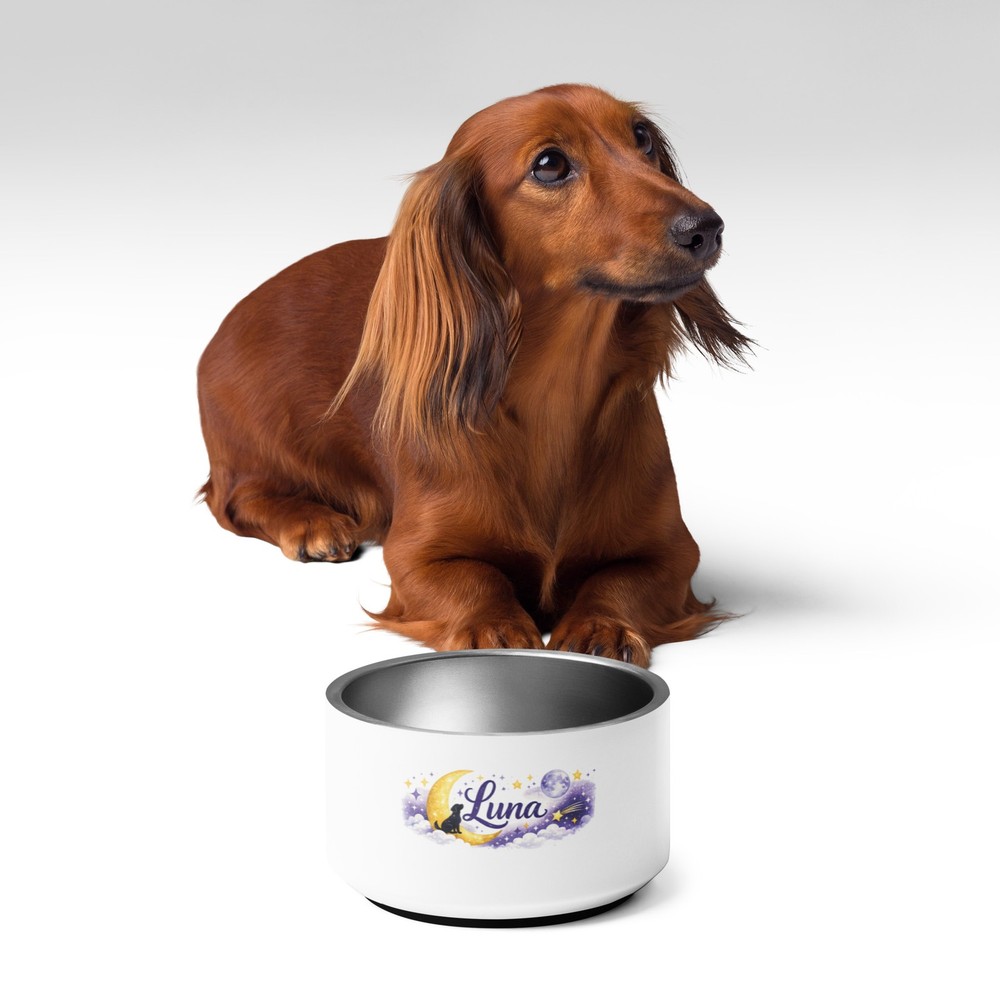 Personalized Dog Bowl Luna