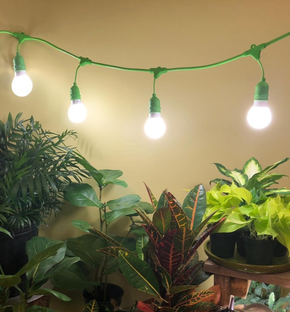 Miracle LED 6 Foot 4 Socket Easy Grow System With Daylight Spectrum Bulbs