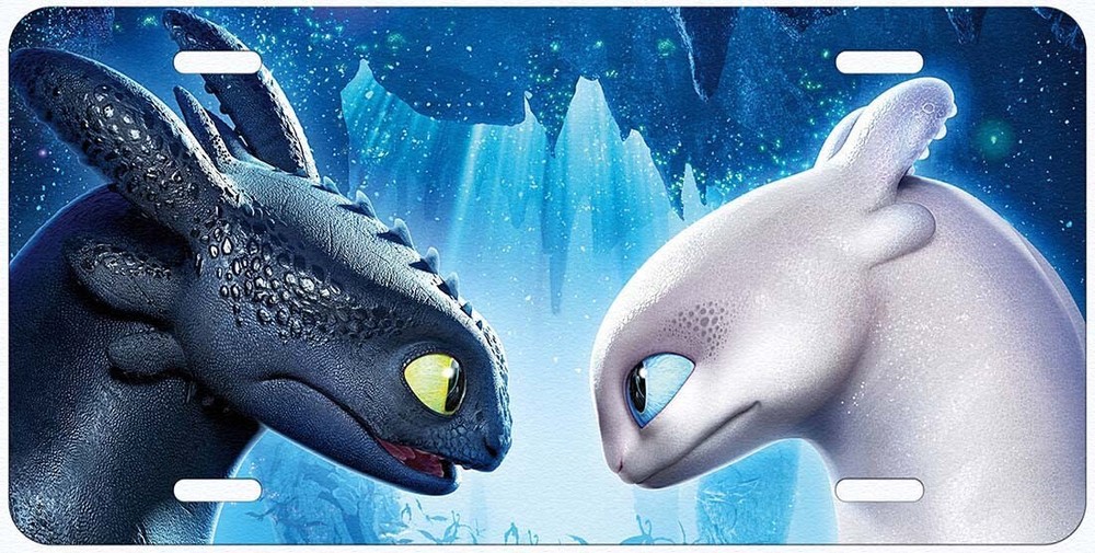 Two Dragons  Novelty Car License Plate