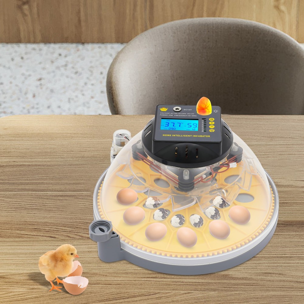 12 Eggs Incubator Egg Turning & Humidity Control Automatic For Hatching Eggs