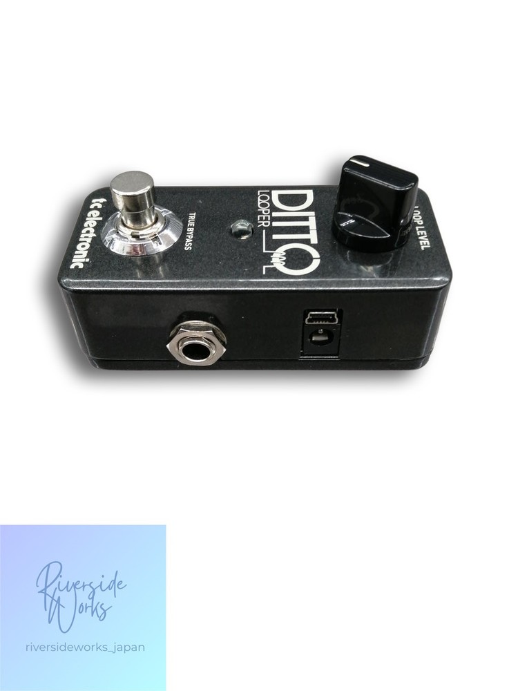 TC Electronic Ditto Looper Guitar Loop Station JP