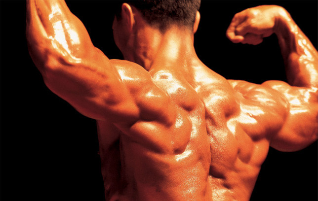 maca root - TONGKAT PREMIUM COMPLEX 760mg - bodybuilding performance 2B