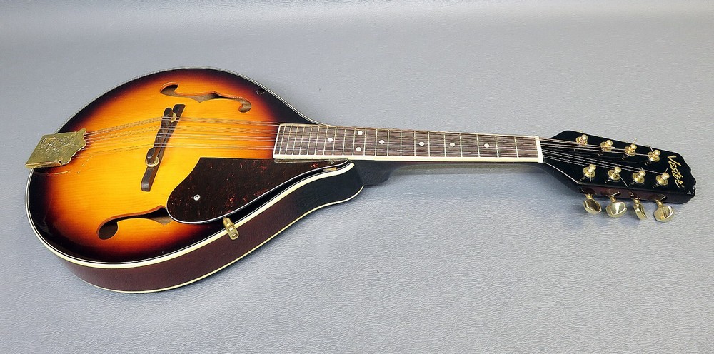 Mandolin Vester