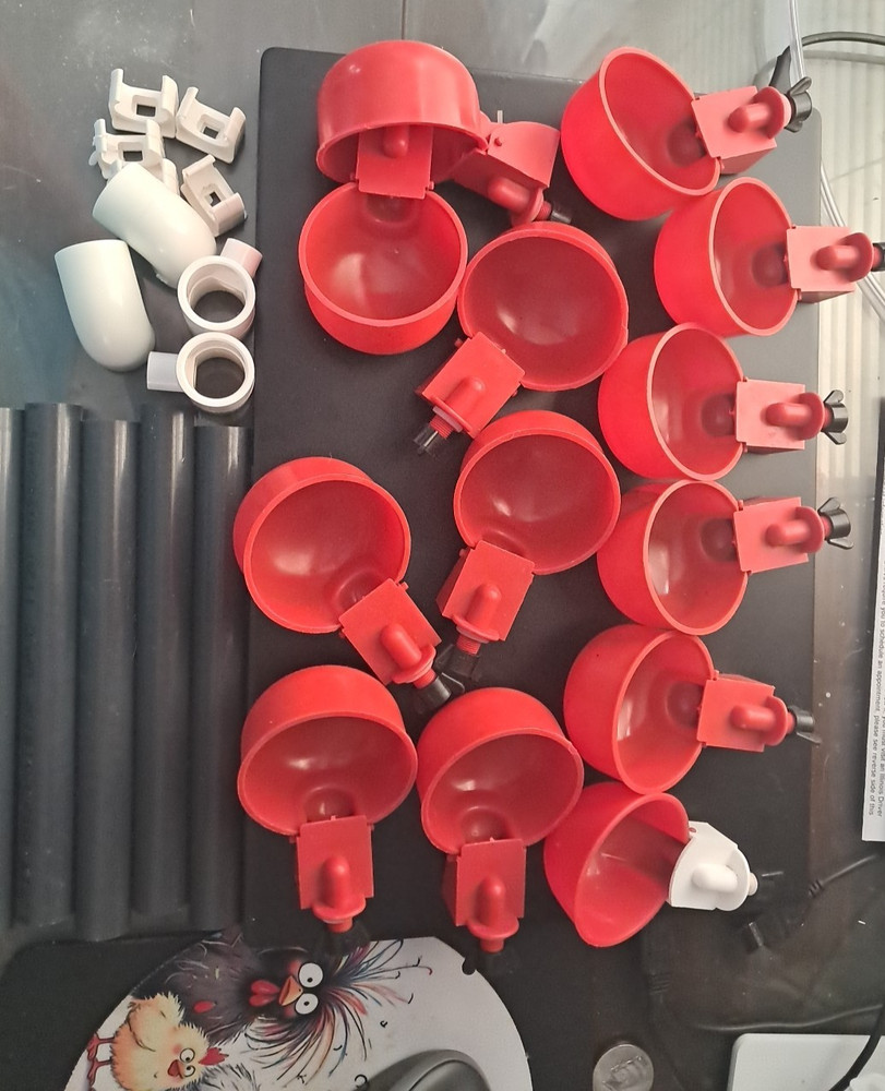 13x Chicken Automatic Watering Cups