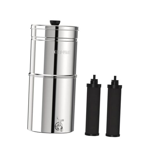 2.25G Gravity-fed Water Filter System, 304 Basic 2 Carbon Filters System