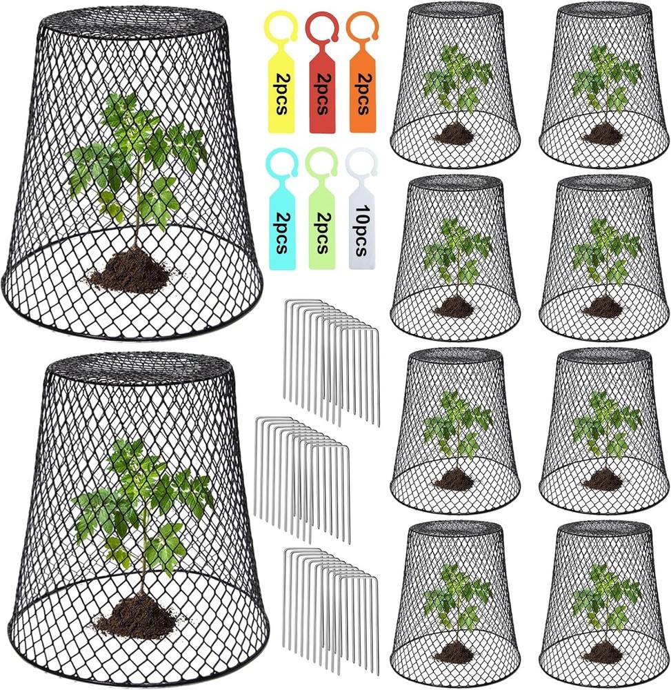 Chicken Wire Garden Cloches x10