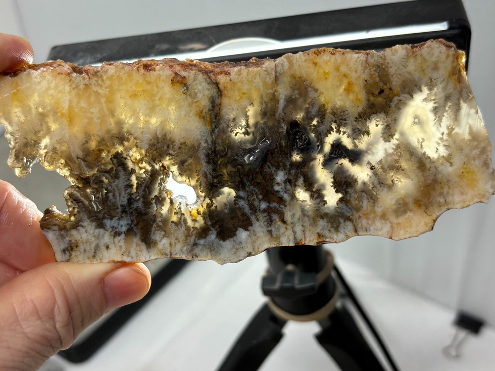 Plume Agate slab Cabbing Lapidary Combo Ship Avail Oregon