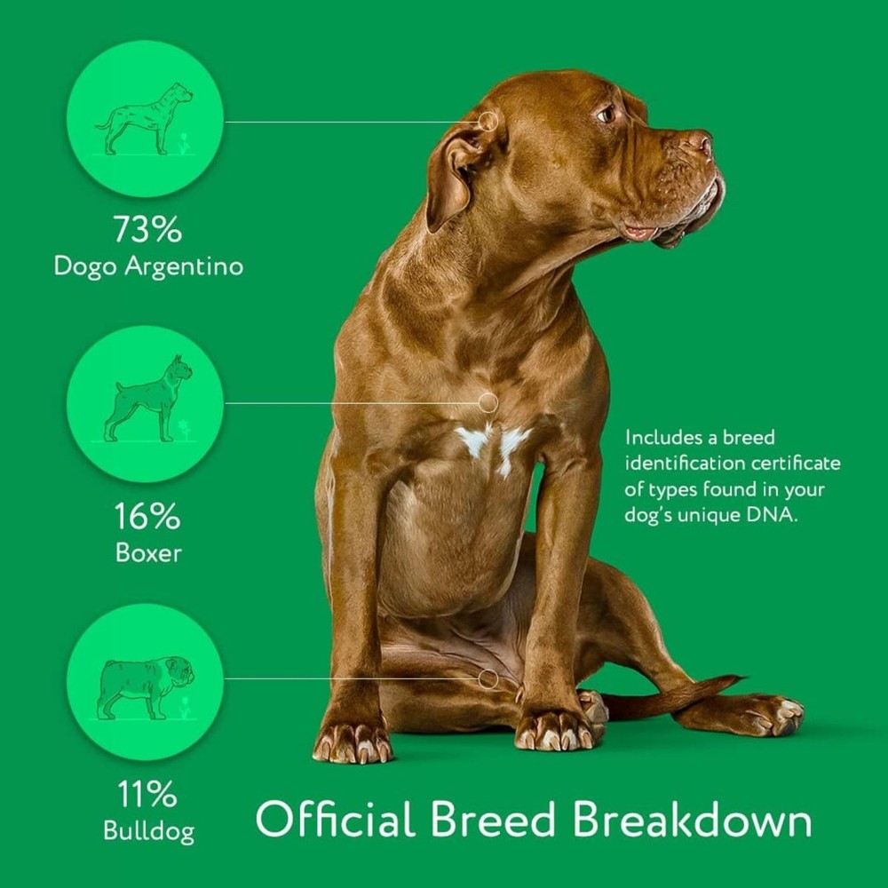 – Trusted & Affordable Breed Identification Test | 350+ Breeds Identified w/ ...