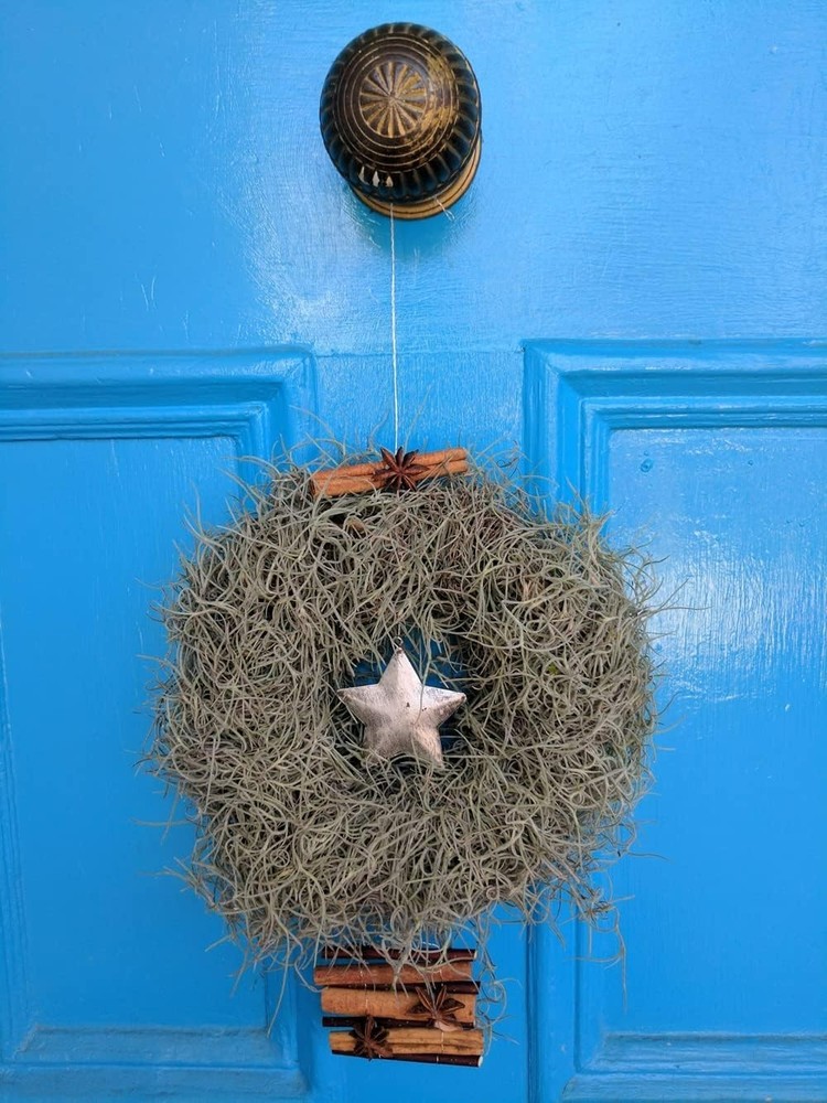 Spanish Moss, 250 Cubic Inches