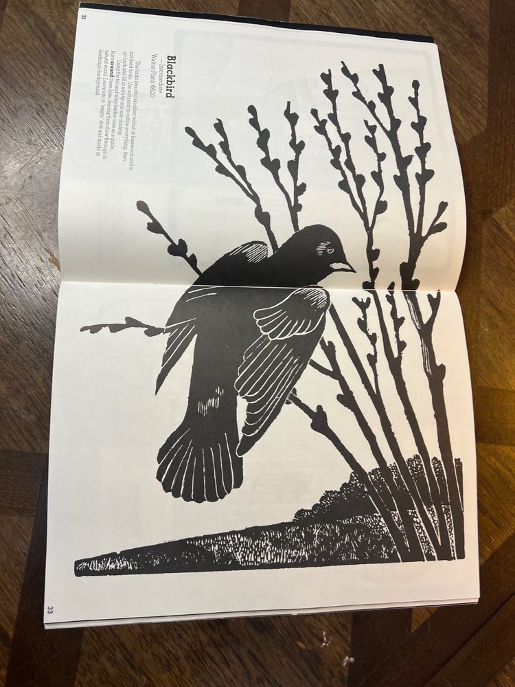 Walnut Hollow Farm Creative Woodburning Patterns & Instructions ~ Book 2