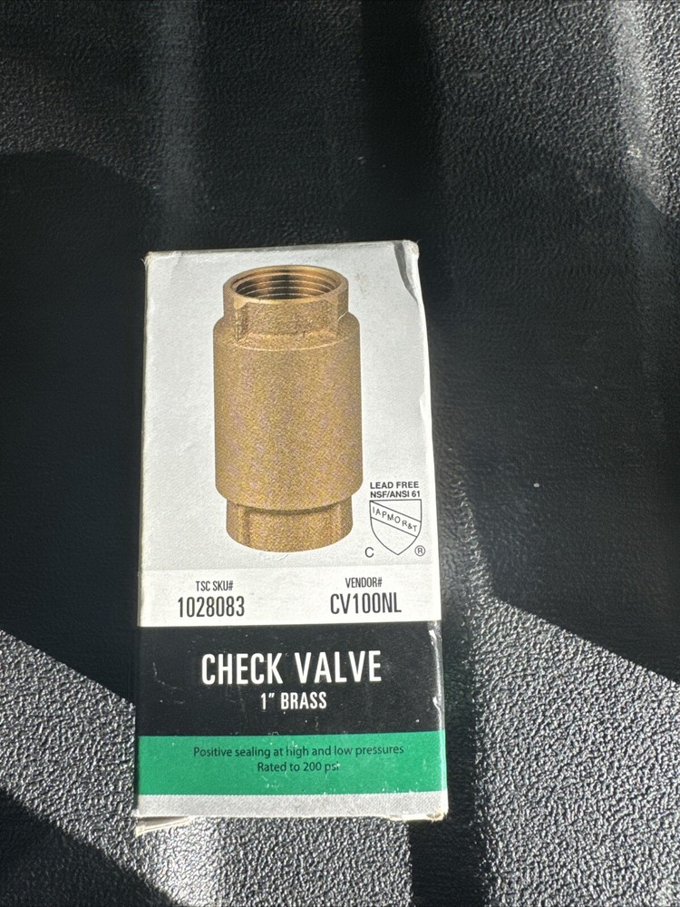 Water Source Brass Check Valve 1" 200psi CV100NL