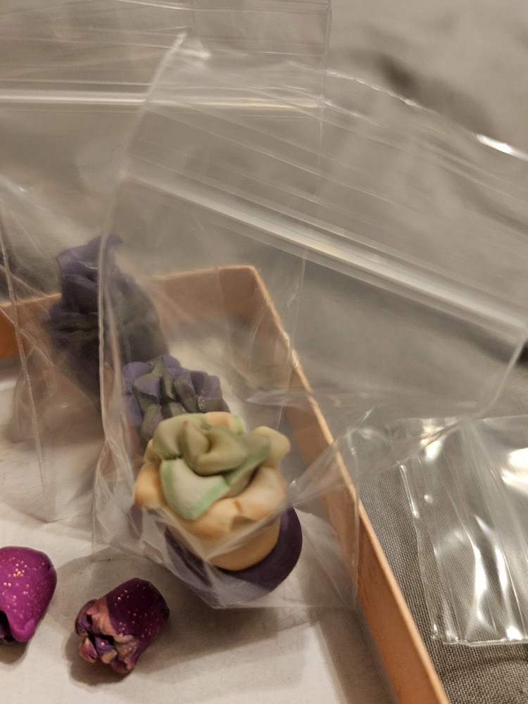 Succulent miniatures lot