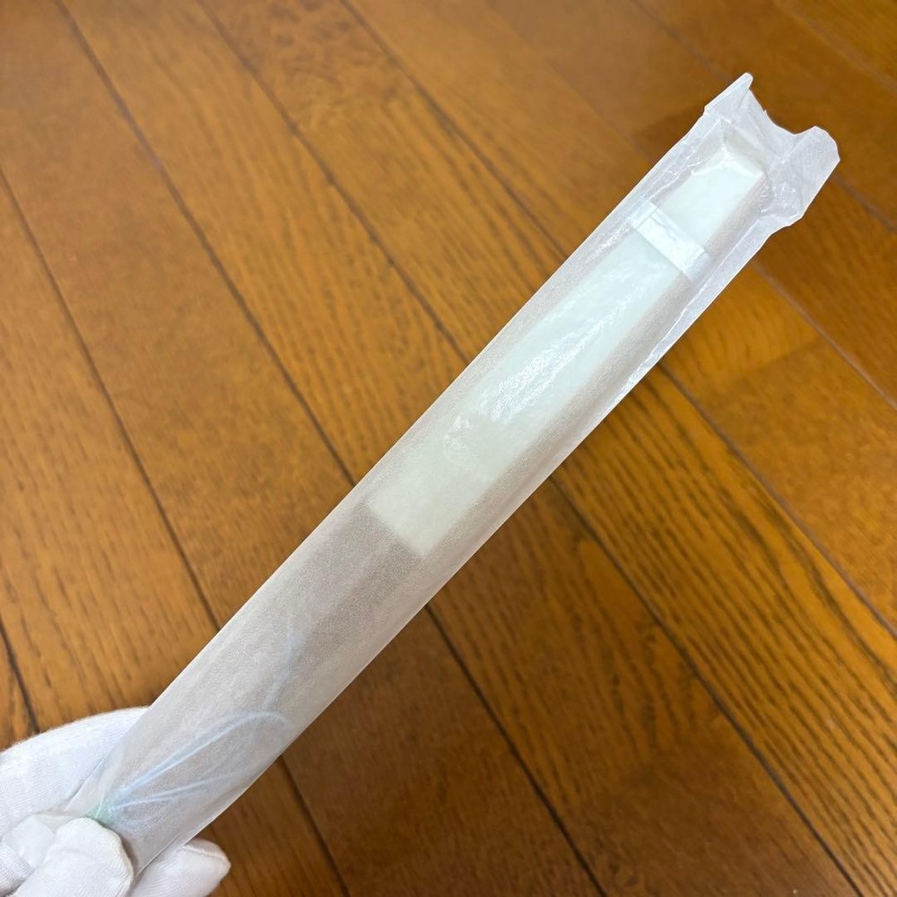 Folding Sensu Fan New and unused
